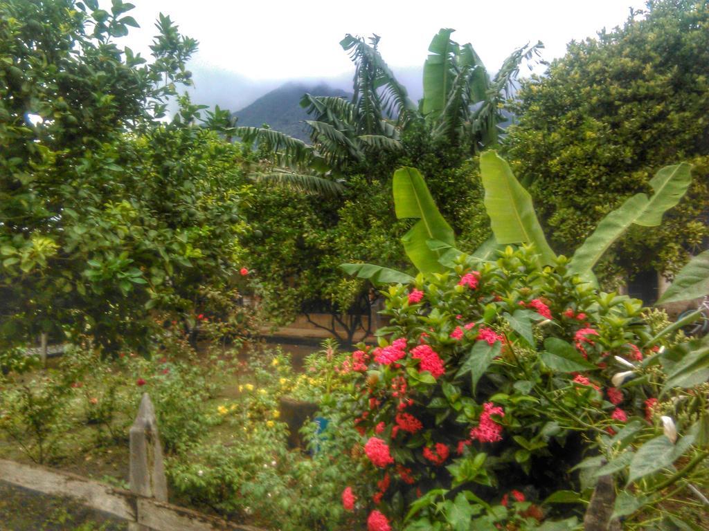 Hostal La Cascada San Ramon Mérida Dış mekan fotoğraf