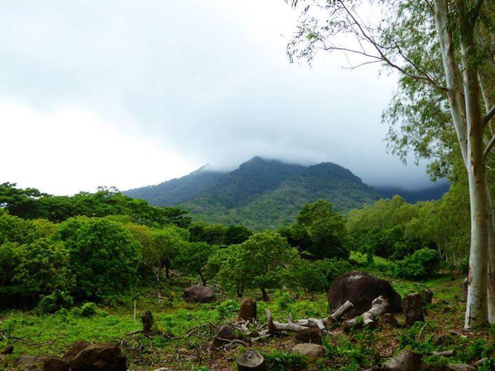 Hostal La Cascada San Ramon Mérida Dış mekan fotoğraf